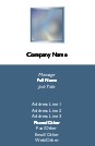 Plasma Full Colour Magnetic Business Cards