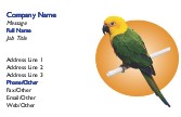 Polly's Perch Full Colour Business Cards