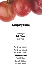Purple Grapes Full Colour Magnetic Business Cards