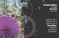 Dazzling Madness Recycled Business Cards