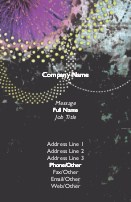 Dazzling Madness Recycled Business Cards