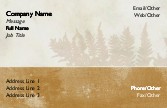 Fern Fronds Full Colour Business Cards