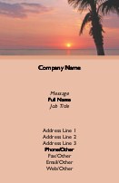 Sunset with Palm Tree