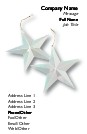Two Silver Stars Full Colour Business Cards