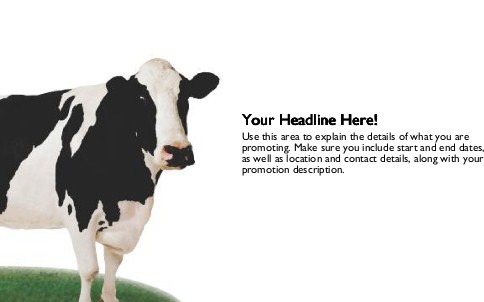 Black and White Cow Full Colour Oversized Postcards