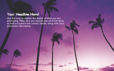 Palm Trees Full Colour Oversized Postcards