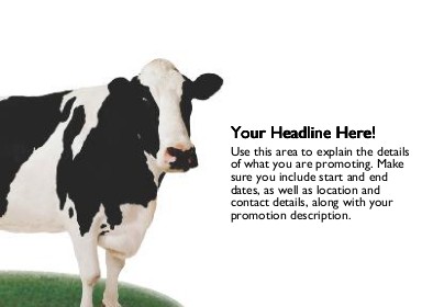 Black and White Cow Full Colour Standard Sized Postcards