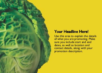 Head of Lettuce Full Colour Standard Sized Postcards