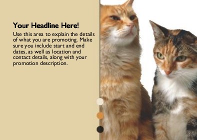 Feline Friends Full Colour Standard Sized Postcards