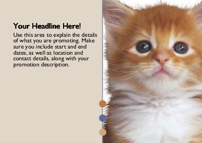 Orange Kitten Full Colour Standard Sized Postcards