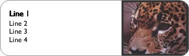 Hunter's Gaze Return Address Labels
