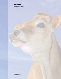 Brown Cow Compact Note Pads