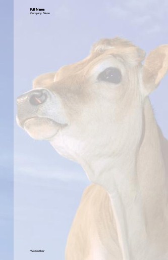 Brown Cow Large Note Pads