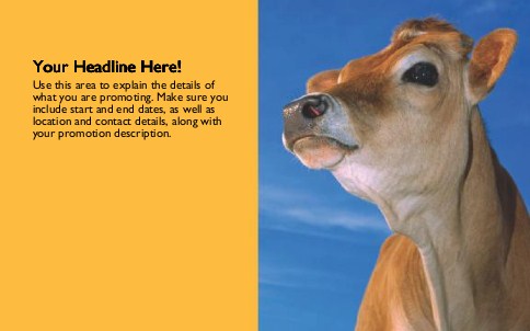 Brown Cow Full Colour Oversized Postcards