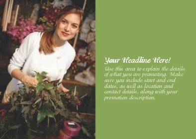 Woman Arranging Flowers Full Colour Standard Sized Postcards