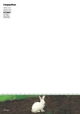 Fuzzy Bunny A4 Letterhead