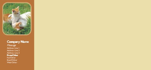 Frolicking Kittens Full Colour Compliment Slips