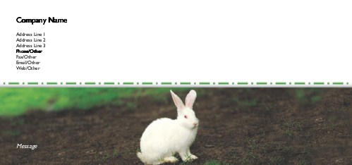 Fuzzy Bunny Full Colour Compliment Slips