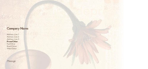 Timid Petals Full Colour Compliment Slips