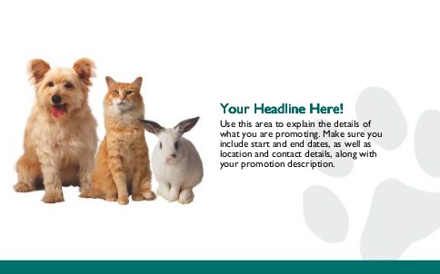 Family Pets Full Colour Oversized Postcards