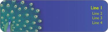 Peacock Glory Return Address Labels