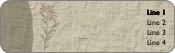 Natural Nuptials Return Address Labels