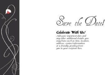 Deco Amour Standard Sized Save the Date Postcards