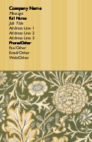 Vintage Brocade