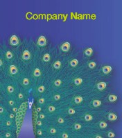 Peacock Glory Personalised Mugs - Single Image