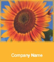 Sunburst Sunflower Personalised Mugs - Single Image