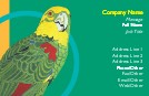 Tropic Talker Full Colour Business Cards