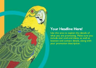 Tropic Talker Full Colour Standard Sized Postcards