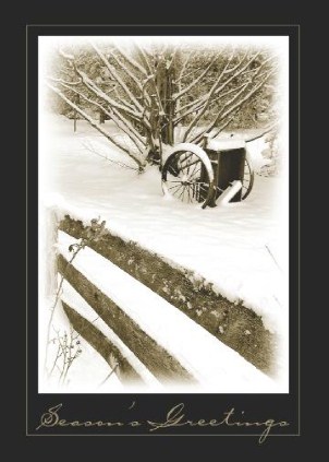Simply Seasonal Vertical Christmas Cards