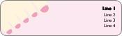 Toe to Toe Return Address Labels