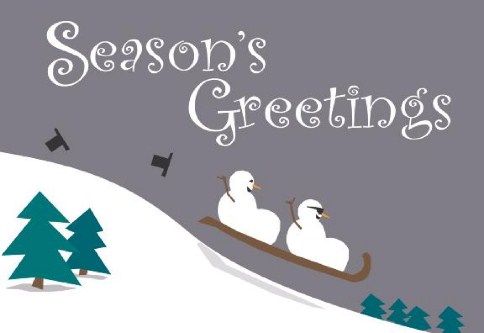 Twice the Fun Personalised Christmas Cards