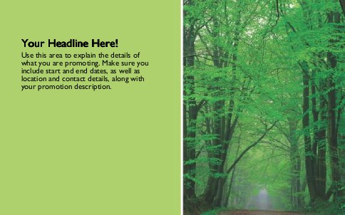 Green Forest Full Colour Oversized Postcards