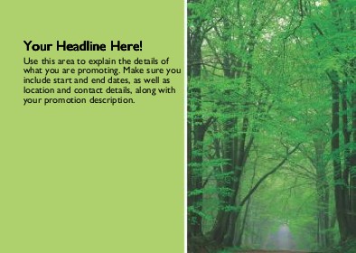 Green Forest Full Colour Standard Sized Postcards