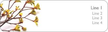 Delicate Stems Return Address Labels