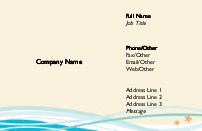 Ocean Liner