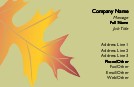 Autumn Burst Full Colour Business Cards