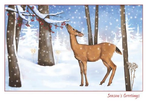 Special Christmas Treat Personalised Christmas Cards