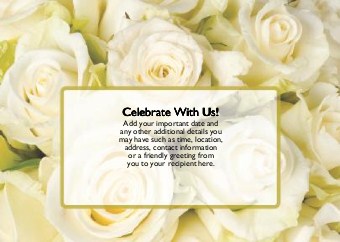 Purest Love Standard Sized Save the Date Postcards