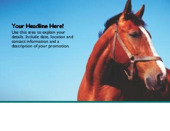 Horse Right Profile Large Magnets