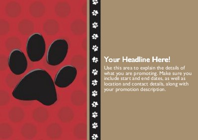 Paws for a Picture Full Colour Standard Sized Postcards