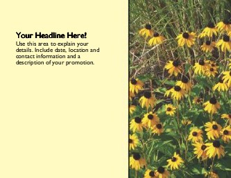 Black Eyed Susans Large Magnets