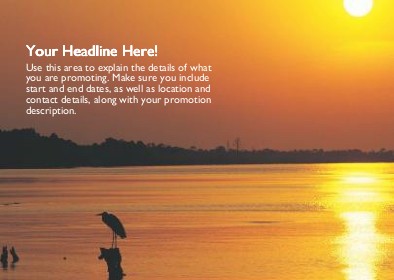 Heron At Sunset Full Colour Standard Sized Postcards