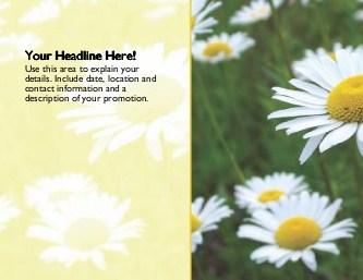 Pretty White Daisies Large Magnets