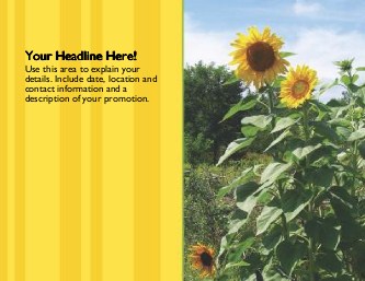 Tall Sunflower Large Magnets