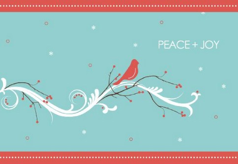 Christmas Visitor Personalised Christmas Cards