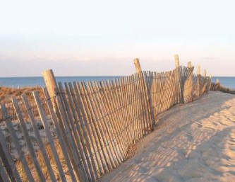 Endless Dunes Wedding Thank You Cards